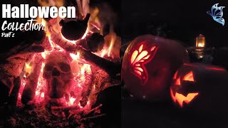 🌲 💧💀🔥🎃 Best of Chilled Butterfly Halloween Part 2 2 HOURS Relaxing Fire amp Water Sounds [upl. by Cheryl]