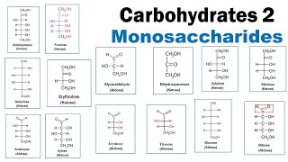 Monosaccharides  Aldoses  Ketoses  Triose  Pentose  Hexose  Dr Ghanshyam Jangid [upl. by Winthrop]