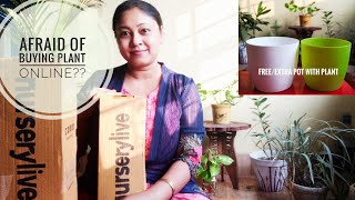 Nurserylivecom Plant Unboxing First Experience Genuine Review Live indoor Plant Online [upl. by Normac]