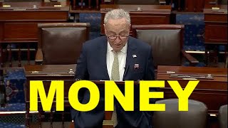 CHUCK SCHUMER HUGE finance WARNING DEBT LOANS MONEY [upl. by Mcgill405]