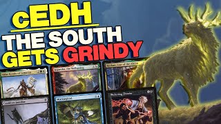 This Grindy Top 16 was GROSS  cEDH Top 16 Breakdown [upl. by Ahsilav]