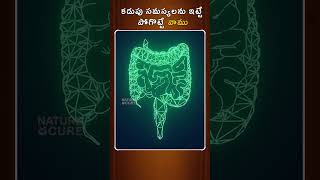 కడుపు సమస్యలను ఇట్టే పోగొట్టే వాము  Vamu Ajwain water Water Health Benefits  Nature Cure [upl. by Adelaja]