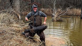 How to use drowning rods for beaver trapping [upl. by Nolaf]