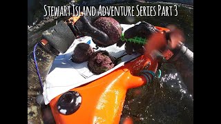 Ep36 Stewart Island Adventure series part 3 Diving for Paua Kina Butters Bluff Oysters Bluecod [upl. by Atahs]