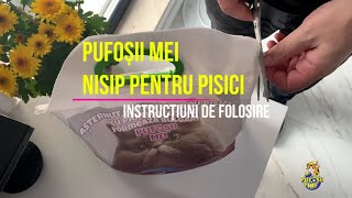 Pufoșii Mei Nisip Pisici Instructiuni de folosire [upl. by Mic]