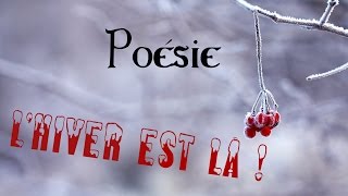 Poésie ⛄ Lhiver est là de Karine Persillet 🎄 [upl. by Akired157]