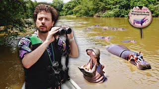 Buscando la plaga de hipopótamos de Escobar en Colombia  ¿Es real ⚠️🦛🇨🇴 [upl. by Manus84]