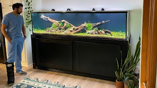 XXL NATURE AQUARIUM BUILD  FULL STEP BY STEP [upl. by Irehj]