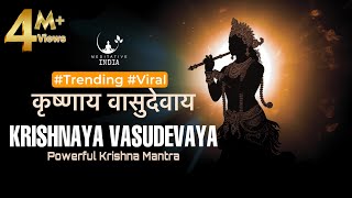 KRISHANAYA VASUDEVAYA 108 Times  POWERFUL Krishna Mantra for Inner Peace  Listen for a Sound Sleep [upl. by Ard]