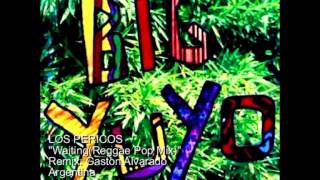 LOS PERICOS WaitingReggae Pop Mix [upl. by Everard455]