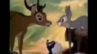 Bambi learns about quotTwitterpatedquot [upl. by Libbey]