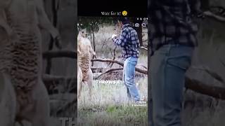 Mike Tyson Reacts to a Kangaroo getting Punched HILARIOUS 😂😂 [upl. by Atelokin124]