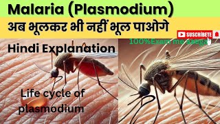 How a Parasite manipulate your RBCs Malaria plasmodium [upl. by Nirrol]