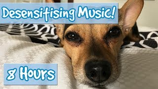 DOG DESENSITISATION Music with Sound Effects to Desensitise Dogs to Noises and Reduce Anxiety 🐶💤 [upl. by Annaor250]