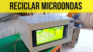 Increíble Idea Con Un Microondas Viejo  incubadora automática [upl. by Tymon]