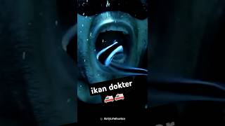 Ikan Dokter sang Penjaga Kesehatan ikan hewan [upl. by Ervin]