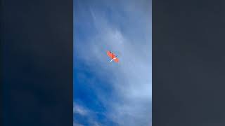 Wingtra drone testing in Juneau Icefield Alaska [upl. by Cochard]