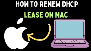 How to Renew DHCP Lease on Mac [upl. by Arualana497]