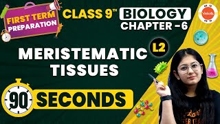 Meristematic Tissues One Shot in 90 Seconds  Tissues  NCERT Class 9 Biology Chapter6 CBSE2024 [upl. by Gertrudis107]