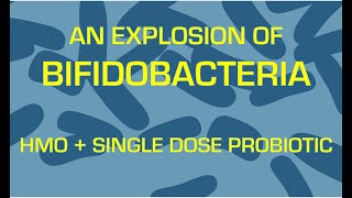 How to grow Bifidobacterium with only one dose of probiotic and HMO [upl. by Noraj]