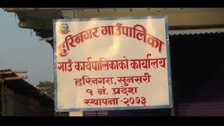 Harinagar Gaupalika sunsari Nepal Documentary [upl. by Chastity]