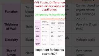 Artery vs Vein vs Capillary  Whats the Difference Explained Simplyshorts ytshorts [upl. by Frydman]