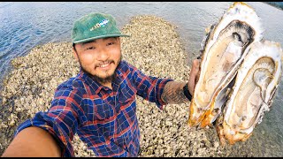 TINY ISLAND Made of Oysters  Oyster PoBoy [upl. by Bradman235]