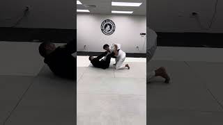 Collar sleeve sweep vs combat stance one knee up [upl. by Aittam]