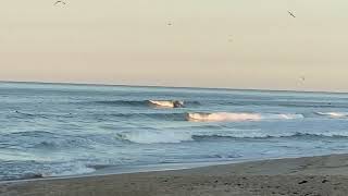 Nags Head Outer Banks 101224 [upl. by Nylevol]