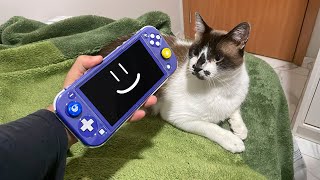 jogando no NINTENDO SWITCH com o meu GATO [upl. by Stefanie]