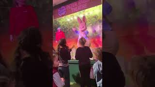 Willows Activity Farm Peter Rabbit Show part 1 [upl. by Maharva903]