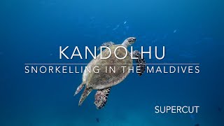 Snorkelling in the Maldives  Kandolhu  Supercut [upl. by Thelma]