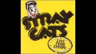 Stray Cats  Rumble in Brighton LIVE [upl. by Hallsy323]