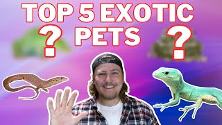 Top 5 Exotics Pets For Moderate Level Keepers [upl. by Witherspoon]