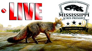 Lets Explore Mississippi Acres Preserve  LIVE Early Access [upl. by Aridatha524]