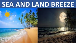 SEA BREEZE AND LAND BREEZE  AIR  SCIENCE EDUCATIONAL VIDEO FOR CHILDREN [upl. by Trini]