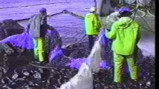 Corexit 9580 Dispersant Use in the Exxon Valdez Oil Spill Cleanup 1989 [upl. by Sral414]