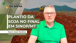 Plantio da soja perto do fim em SinopMT e produtor já se preocupa com clima para colheita [upl. by Morganne]