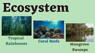 Ecosystem Tropical Rainforests Coral Reefs and Mangrove Swamps Science 6 [upl. by Tonya309]