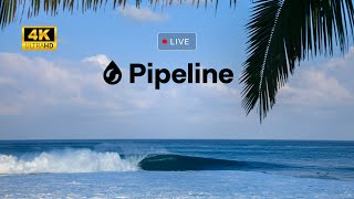 Pipeline Replay in 4K UltraHD  Dec 22 2022 Morning Session [upl. by Eiddet447]