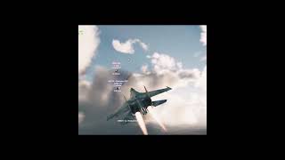 Flanker and Fulcrum rule the skies WT EDIT  PHONK [upl. by Stew176]