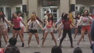 KPDC SISTAR  Shake It Performance Dance Cover [upl. by Deland562]