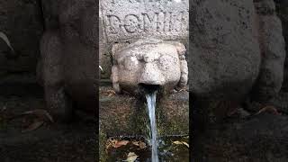 EXPLORING A 15TH CENTURY CHURCH IN BODMIN CORNWALL UK [upl. by Leinto]