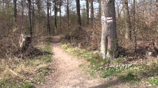 BikeTube HD 04 das Ammertal [upl. by Anastas343]