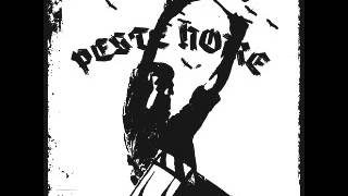 Peste Noire  Peste Noire Full Album [upl. by Bernat]