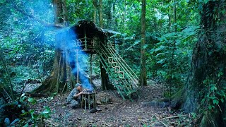 Full video 1 year Solo Bushcraft Living and bushwalking in the rainforest Bushcaft Survive [upl. by Makell129]