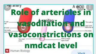 Role of arterioles in vasodilation and vasoconstriction [upl. by Fitalludba371]