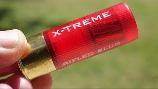 XTREME Rifled Slugs  Prettiest Shells in the World [upl. by Elizabeth]