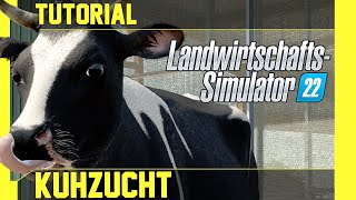 LS 22 Kühe Tutorial Kurz leicht und verständlich erklärt [upl. by Erlinna]