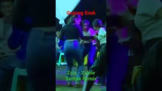 ZALE  ZALELE SENTAK REMIX remix nttpride party nttviral nttviral laguparty2023 papaadung [upl. by Wanda91]